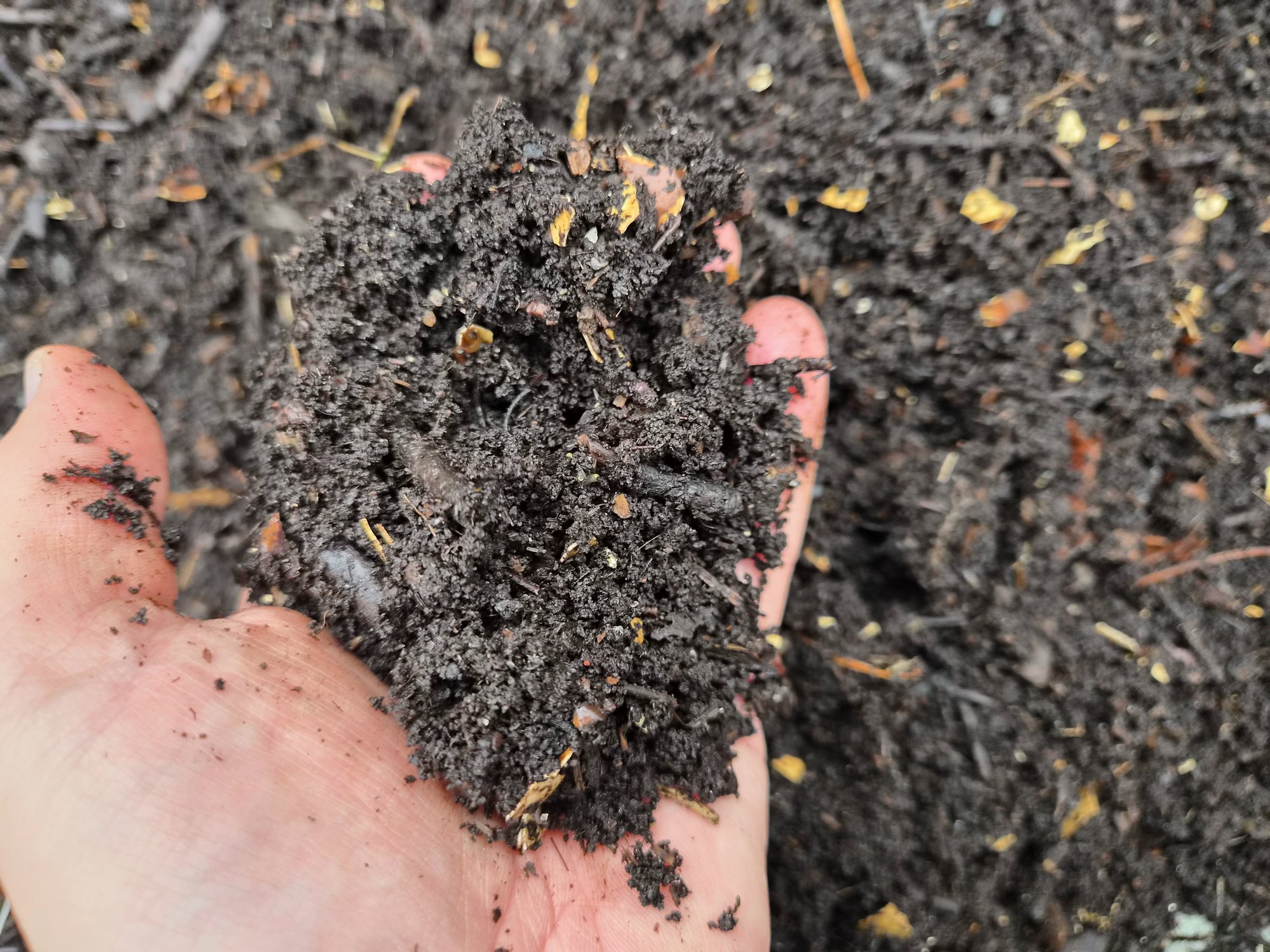 Ready compost
